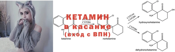 трава Богданович